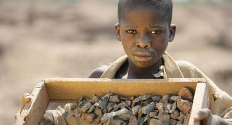 Elimination of child labor: ILO and AU launch the international year