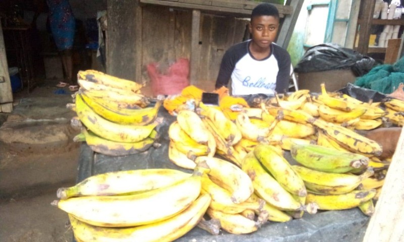 Banane plantain Les prix ne baissent pas malgre le retour du produit sur le marche FratMat